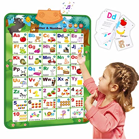 Electronic Talking Poster